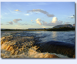 Canaima_portada_1