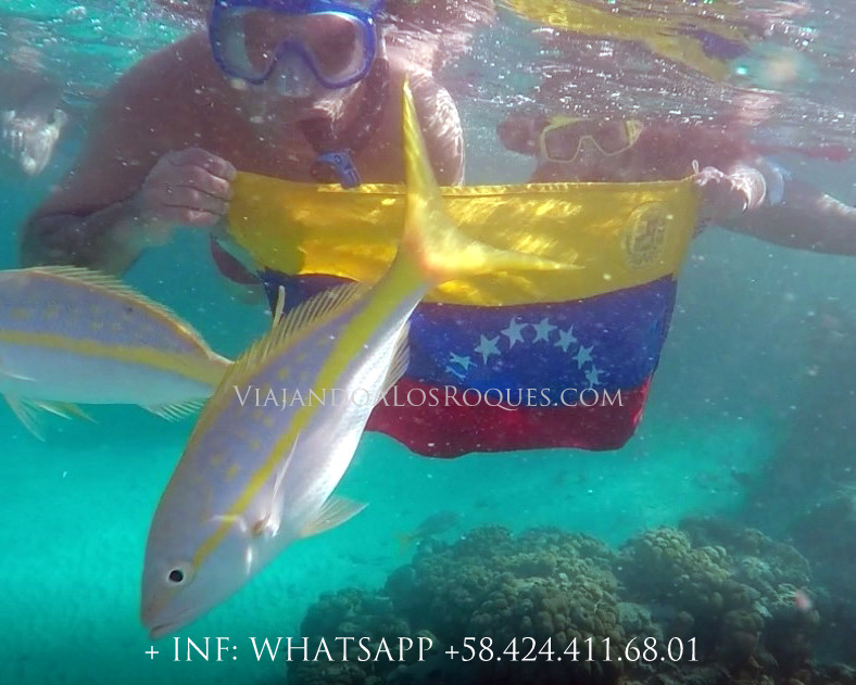 Snorkeling-piscina-natural-francisqui